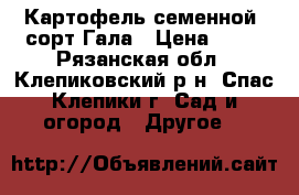 Картофель семенной, сорт Гала › Цена ­ 13 - Рязанская обл., Клепиковский р-н, Спас-Клепики г. Сад и огород » Другое   